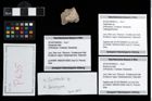 Foto (Objekt + Etikett) von Brachyura indet.  (NHMW-GEO-2014-0194-0635b)